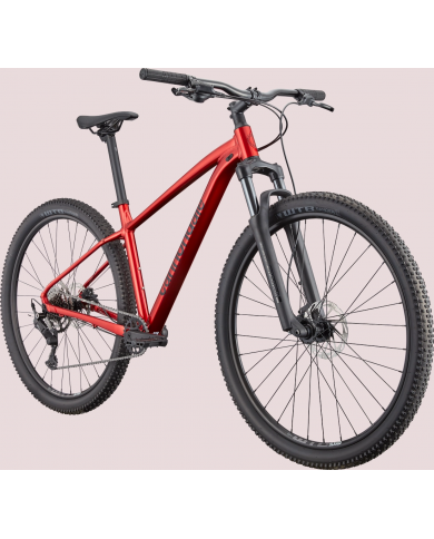 BICICLETA CANNONDALE TRAIL 2 2025