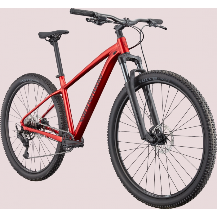 BICICLETA CANNONDALE TRAIL 2 2025