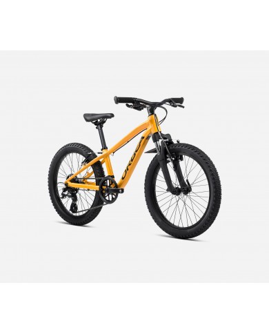 BICICLETA ORBEA MX 20 XC